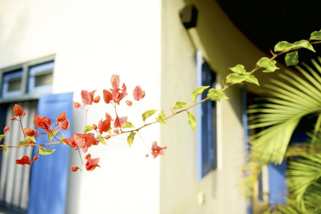 Palagama Beach Etalai Exterior photo